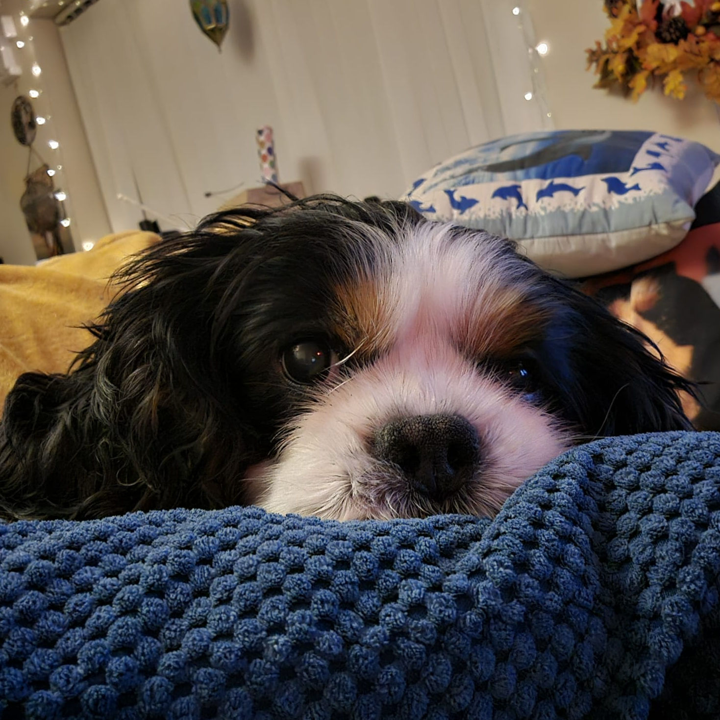 2024_2025 - Murphy - 2